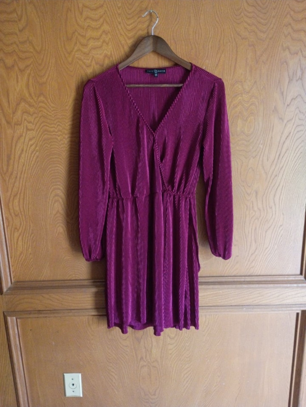 Fred David Raspberry V-Neck Long Sleeve Pleated Dress